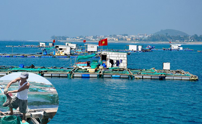 Nuôi Trồng Thuỷ Sản